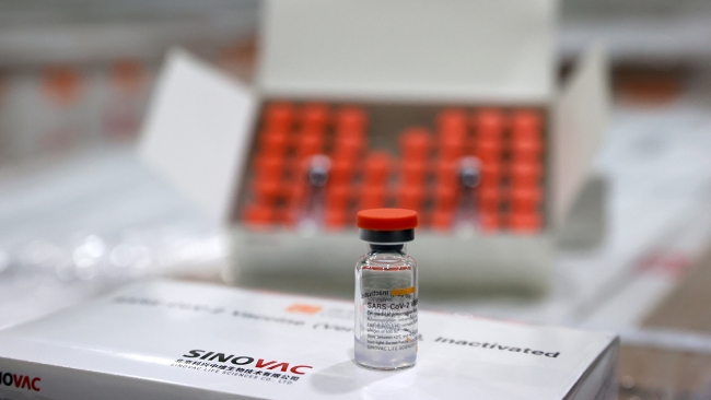 CoronaVac aşılarının test süreci bugün tamamlanacak